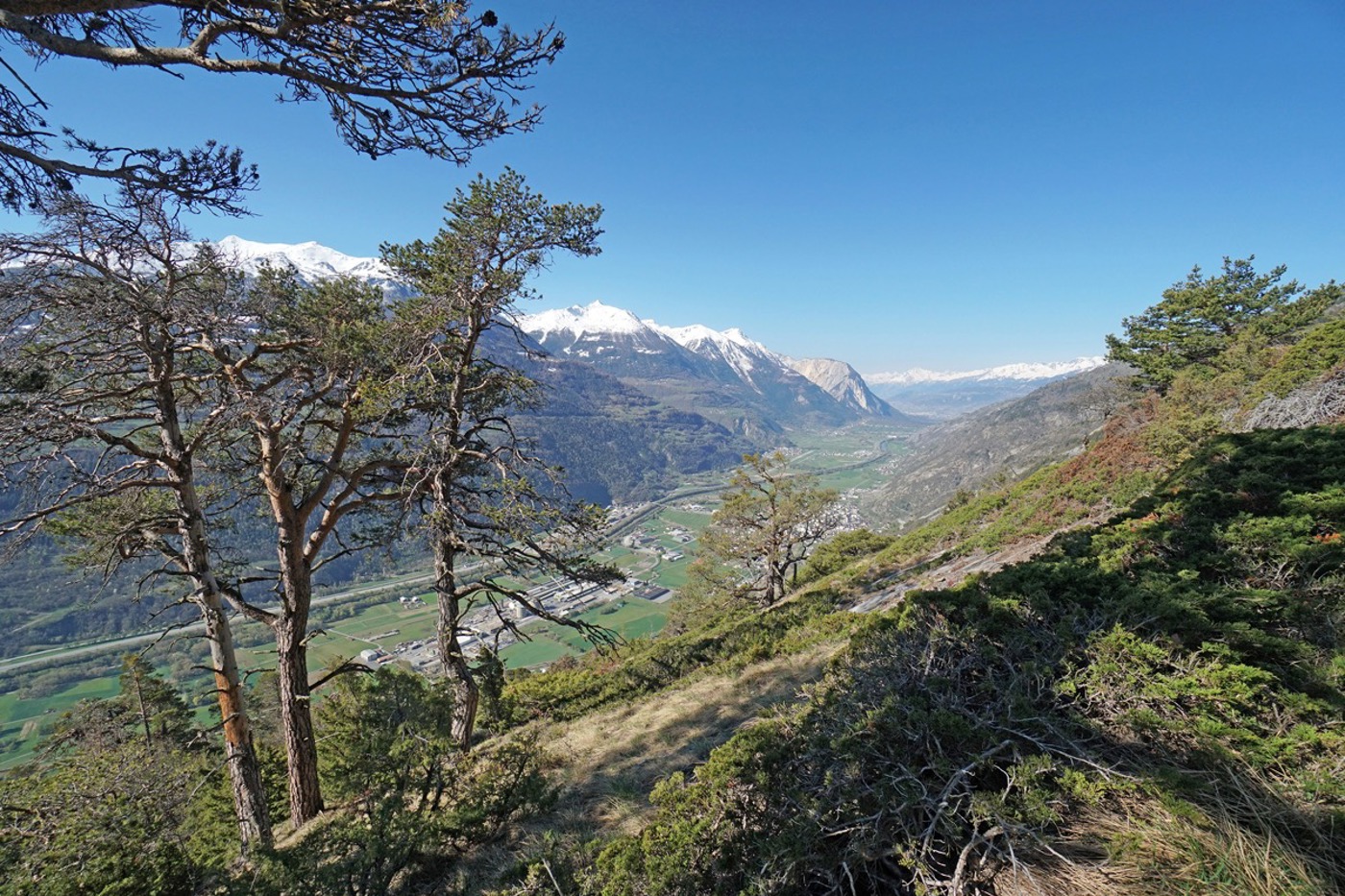 Im Wallis sind in nächster Nähe die unterschiedlichsten Lebensräume vom Gletscher bis zur trockenen und heissen Felsensteppe anzutreffen. Dies erklärt die grosse Artenvielfalt im Kanton. © Brigitte Wolf