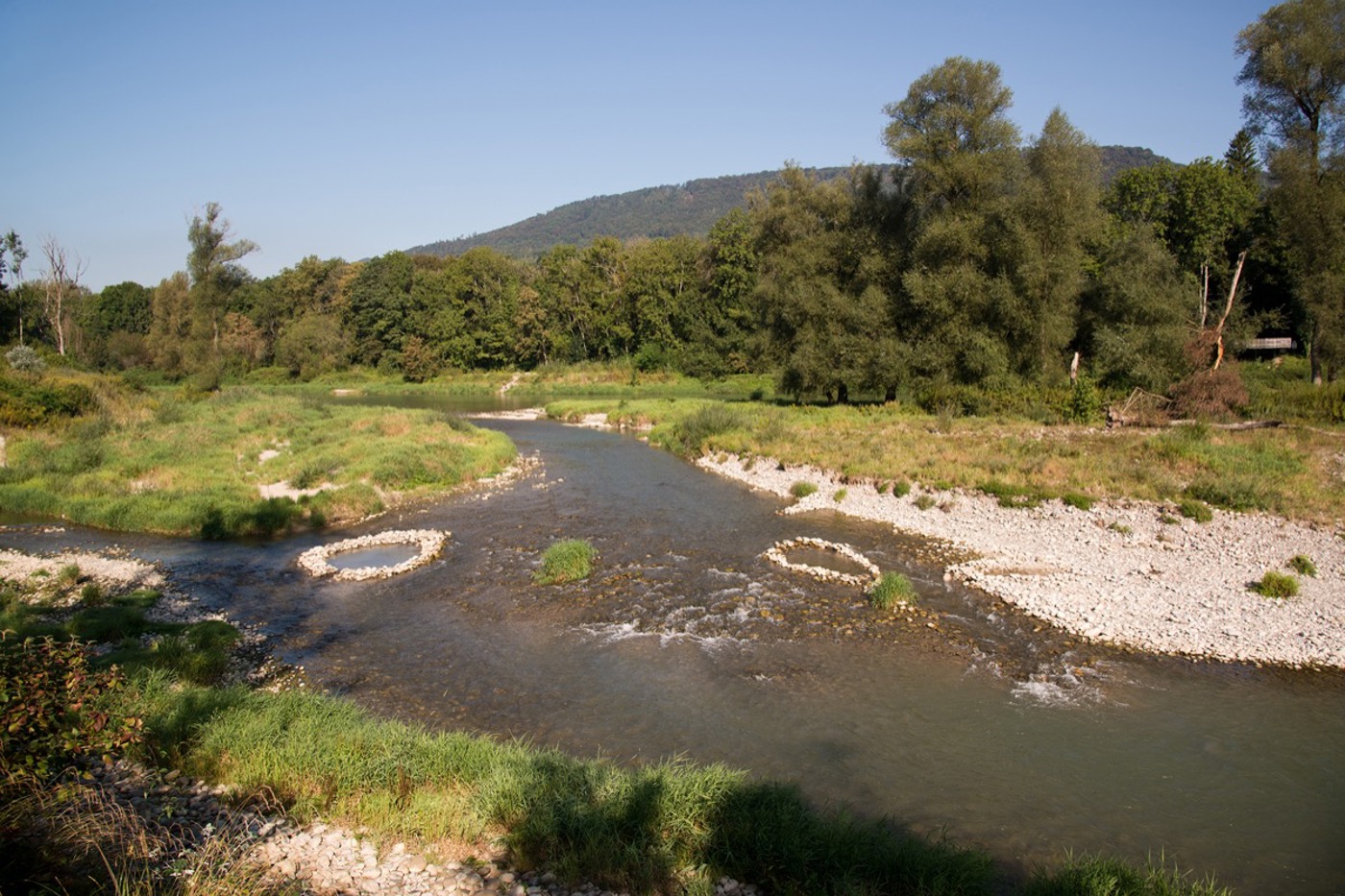 Ein renaturierter Fluss bei Rupperswil AG. © Oekovision GmbH