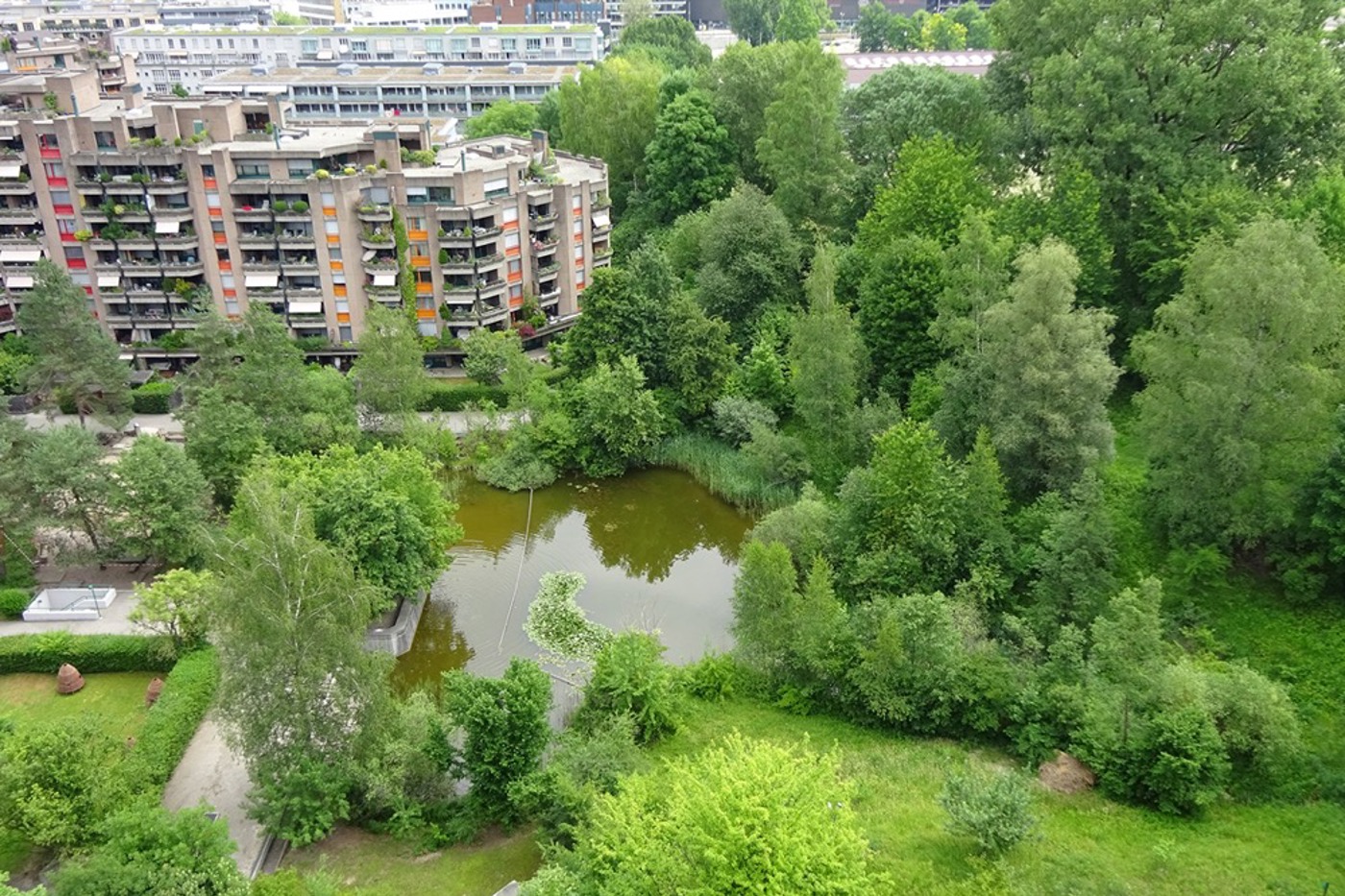 Die Bewohnerinnen und Bewohner dieses Quartiers profitieren von den grosszügigen Grünflächen mit ausladenden Bäumen und den offenen Wasserflächen, welche die Temperaturspitzen an heissen Sommertagen spürbar reduzieren. © BirdLife Schweiz