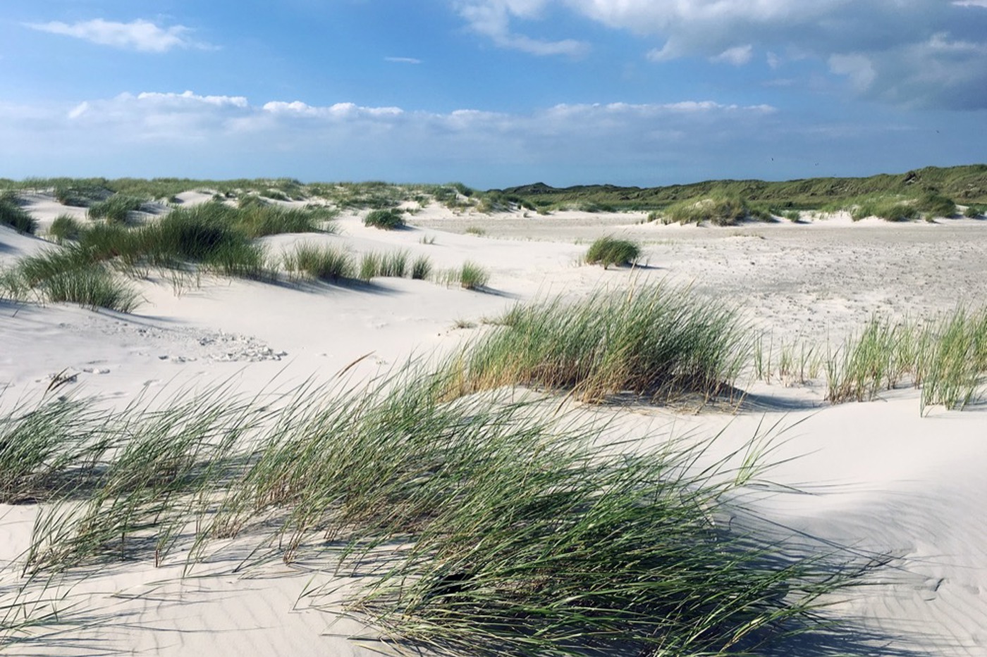 Der Sandstrand und die Dünen machen zusammen fast die Hälfte der ganzen Insel aus. © Stefan Bachmann