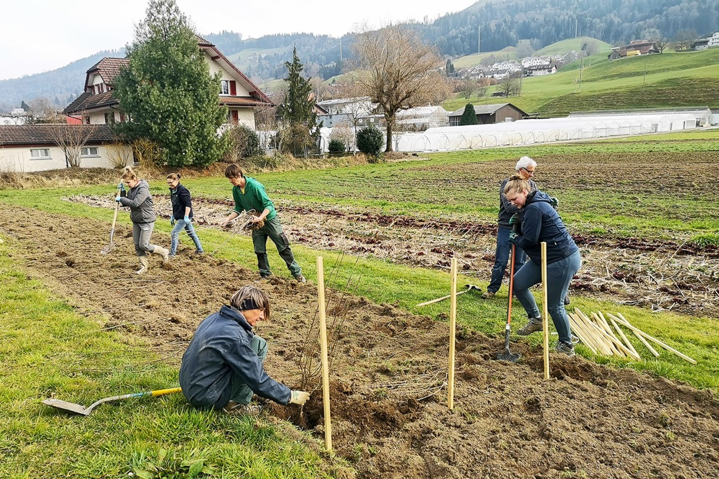 Das Luzerner Heckenprojekt ist auf bestem Weg, seine Ziele zu übertreffen. © BirdLife Luzern
