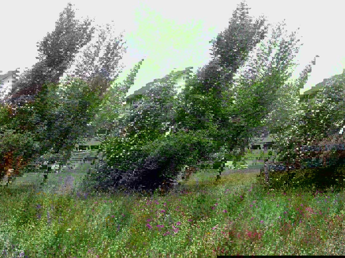 Garten CG