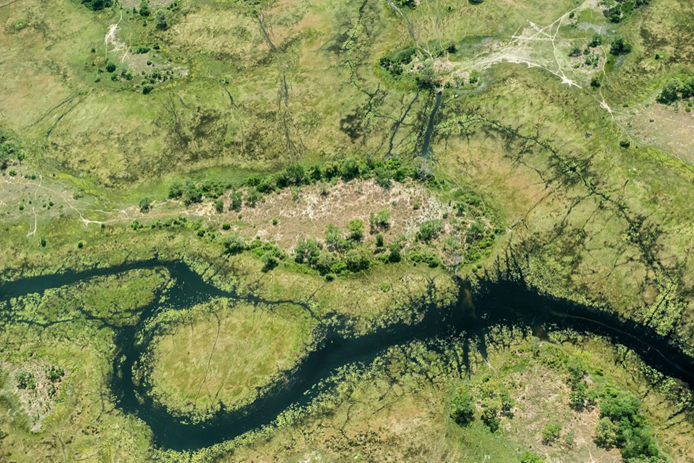 Über 18 000 Quadratkilometer erstrecken sich die Feuchtgebiete im Okavango-Delta. © Wim van den Heever/naturepl.com Über 18 000 Quadratkilometer erstrecken sich die Feuchtgebiete im Okavango-Delta. © Wim van den Heever/naturepl.com