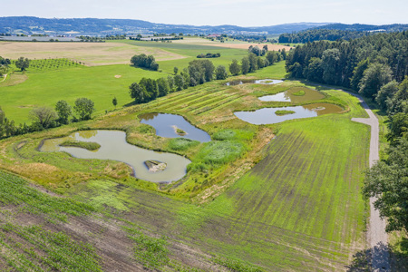 Ein Lebensnetz am Bodensee