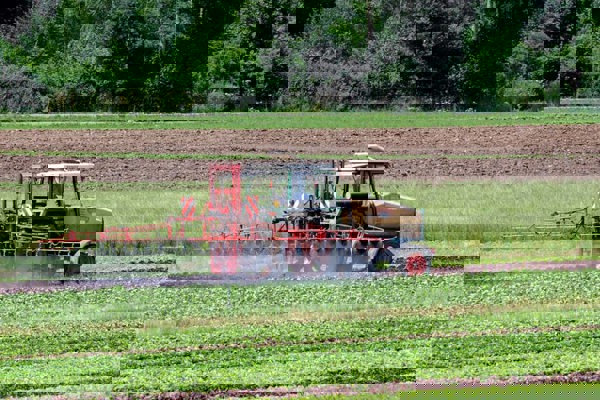 Pestizide 07 13 2010 9 MJ Pestizide 07 13 2010 9 MJ