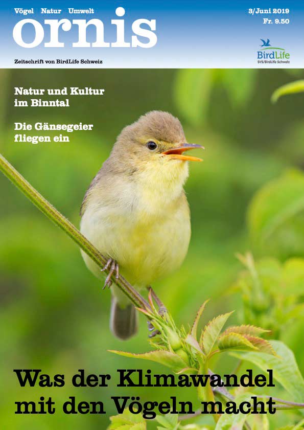 Orn3 01 Titel