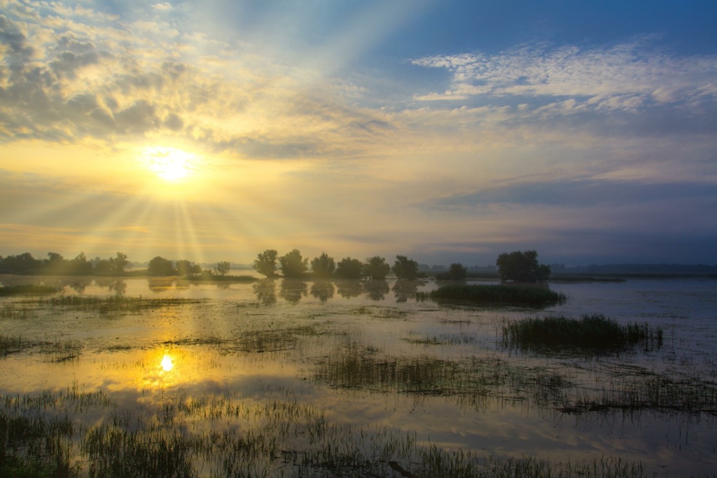 Der Naturpark Kopacki rit am Zusammenfluss von Donau und Drau ist eines der grössten Feuchtgebiete Europas.  © mauritius images/F. Ludwig Der Naturpark Kopacki rit am Zusammenfluss von Donau und Drau ist eines der grössten Feuchtgebiete Europas.  © mauritius images/F. Ludwig