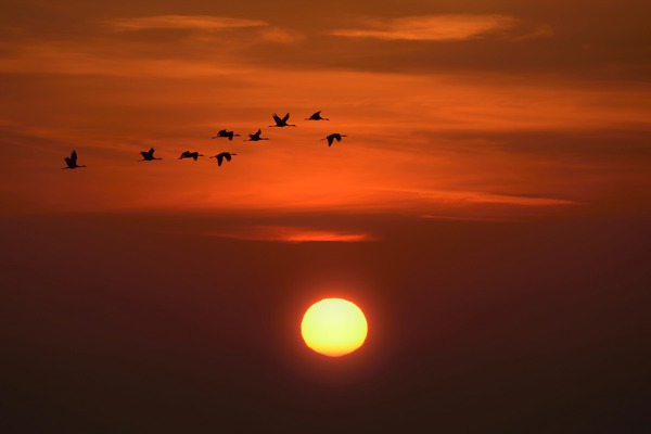 VO Aufmacher VO Aufmacher