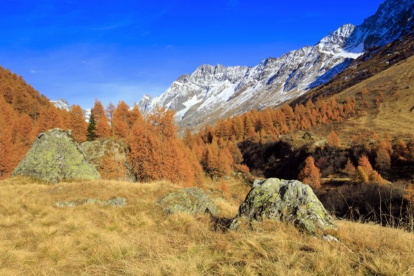 WG Aufmacher Fotofinder WG Aufmacher Fotofinder