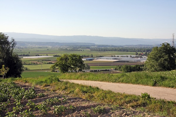 GM Landschaft SVS GM Landschaft SVS