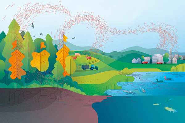 201112 SCNAT Cover (1) 201112 SCNAT Cover (1)