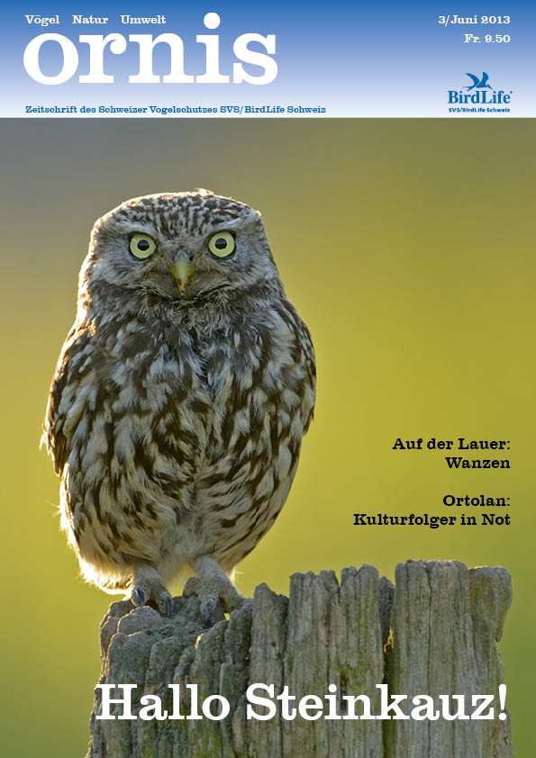 Orn3 01 Titel