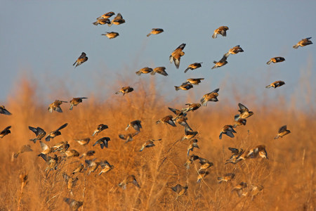 Neue Ideen für mehr Leben