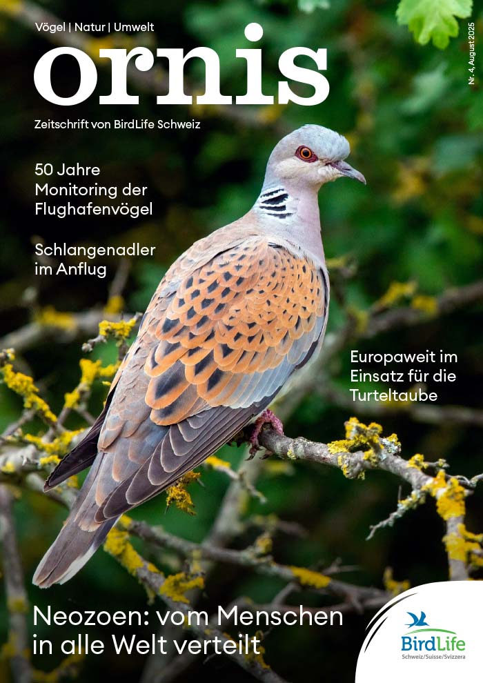 Orn3 01 Titel (1)