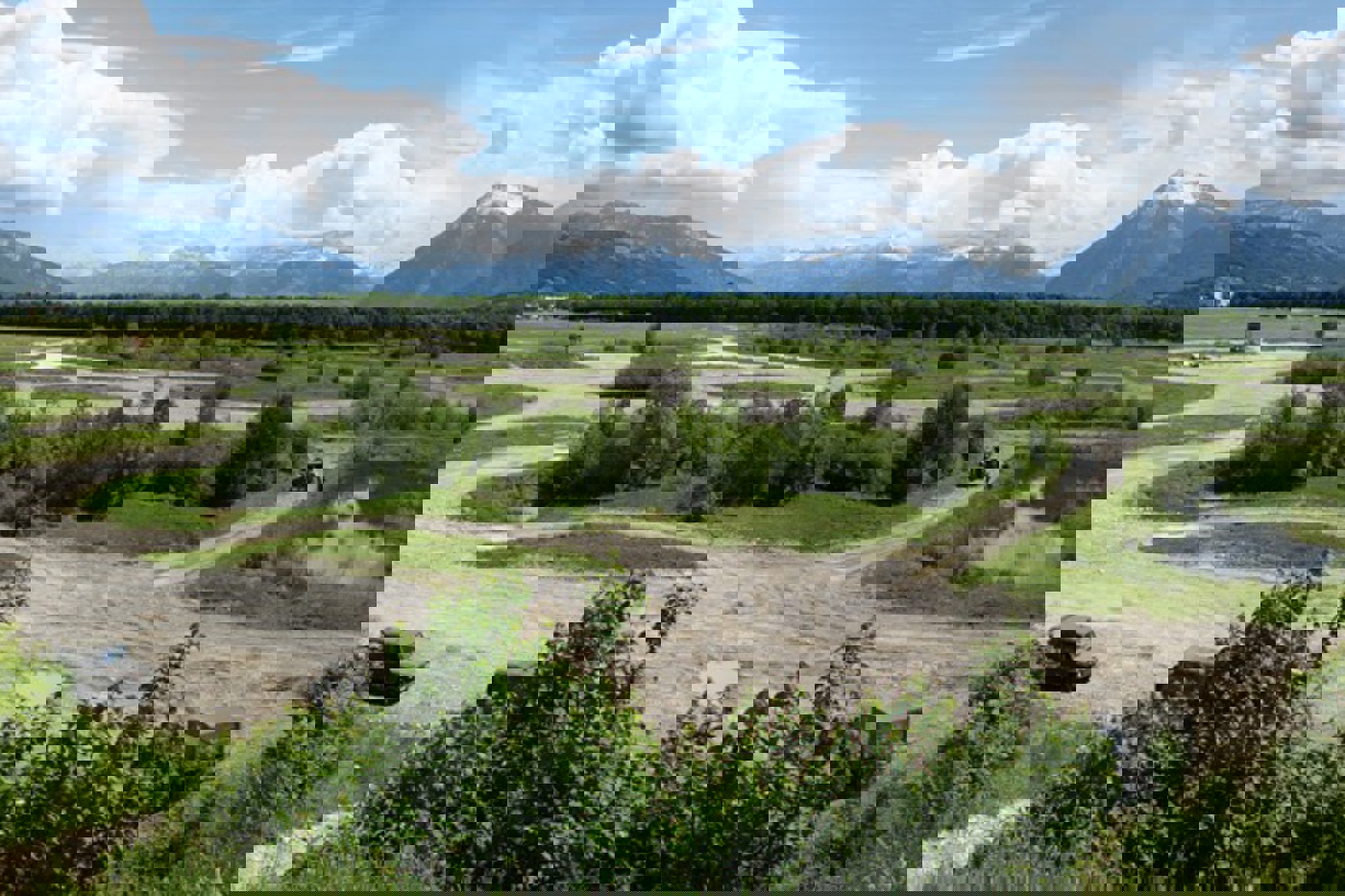 Wo Panzer fahren, entstehen für die Natur wertvolle Pionierstandorte. Das Panzerfahrgelände des Waffenplatzes Thun ist denn auch die Kinderstube vieler Kreuzkröten, Gelbbauchunken und Schwarzkehlchen. © armasuisse Wo Panzer fahren, entstehen für die Natur wertvolle Pionierstandorte. Das Panzerfahrgelände des Waffenplatzes Thun ist denn auch die Kinderstube vieler Kreuzkröten, Gelbbauchunken und Schwarzkehlchen. © armasuisse