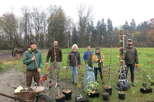 TI Volontariato2 TI Volontariato2