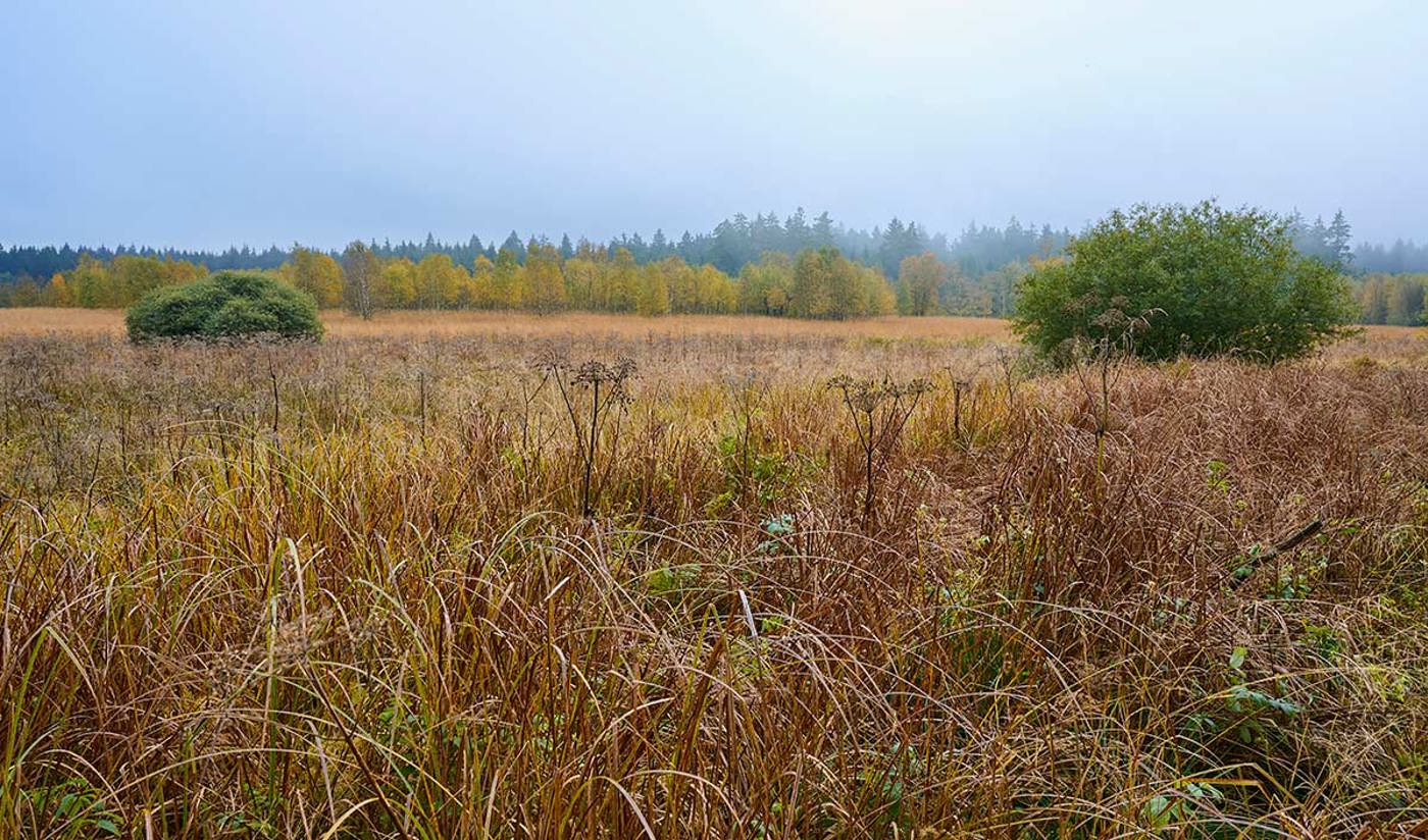 Breungeshainer Heide Vogelsberg Hessen Mauritius Images 14016699