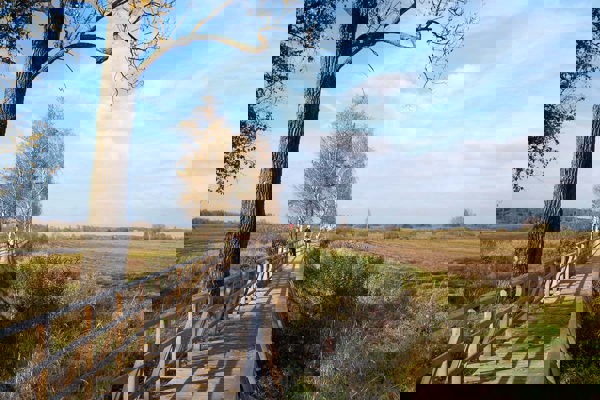 Federseesteg Kwernicke