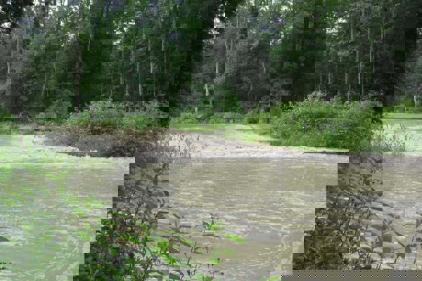 TA Hochwasser RB TA Hochwasser RB