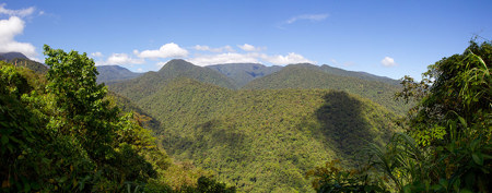 Hotspot der Biodiversität