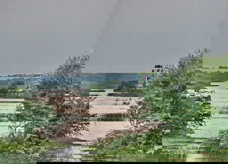 Auf Naturpfaden  in Gujarat