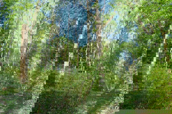 NW Aufmacher Wm NW Aufmacher Wm