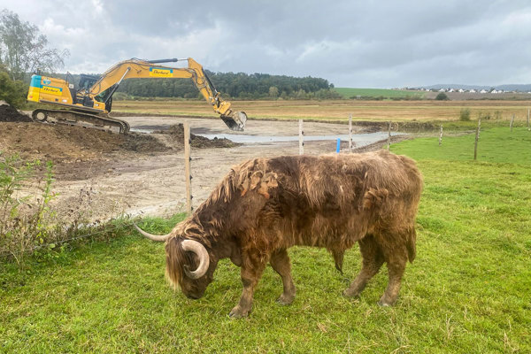 NE IMG 1206 NE IMG 1206