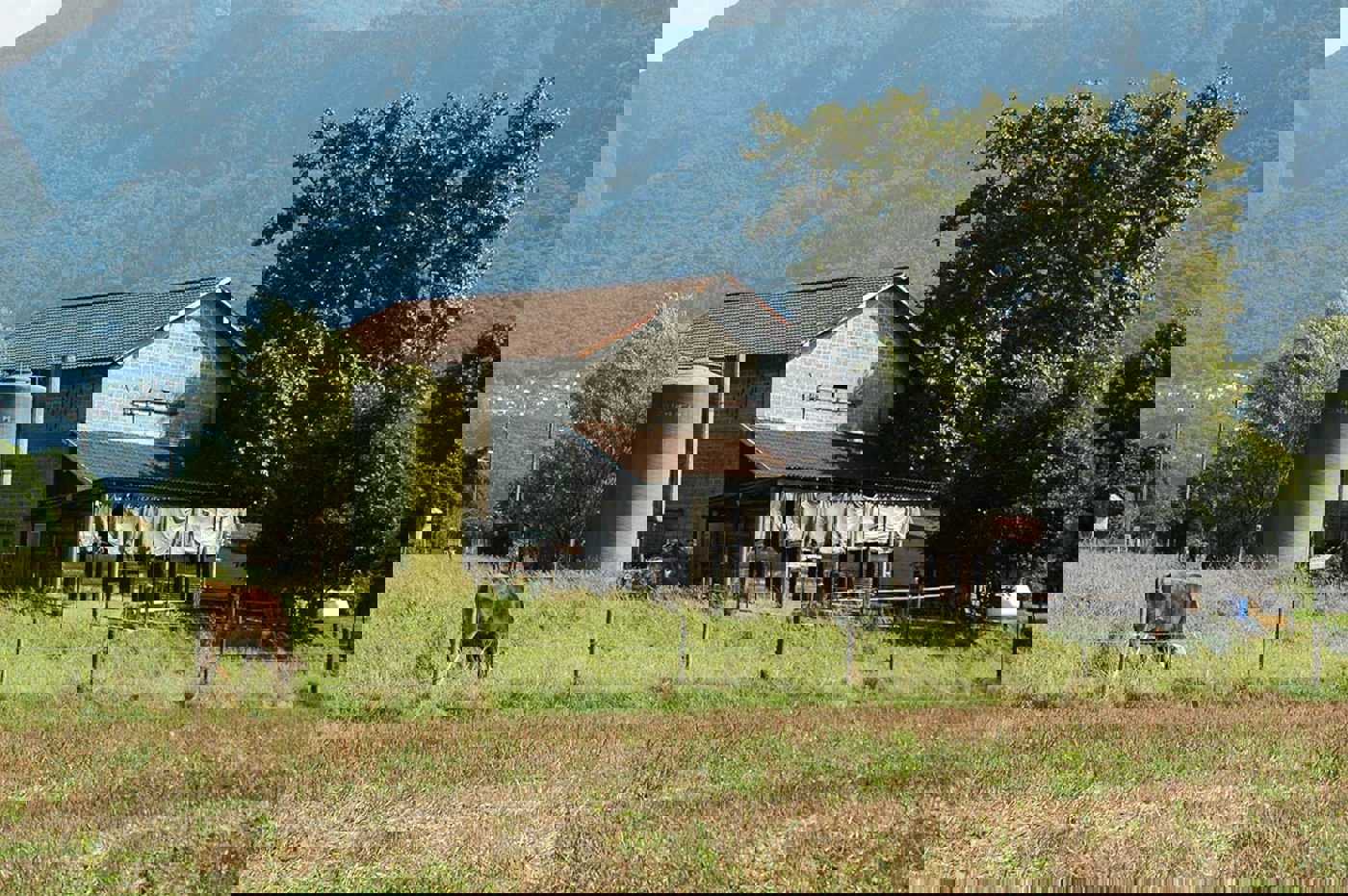 RS Farmswallow