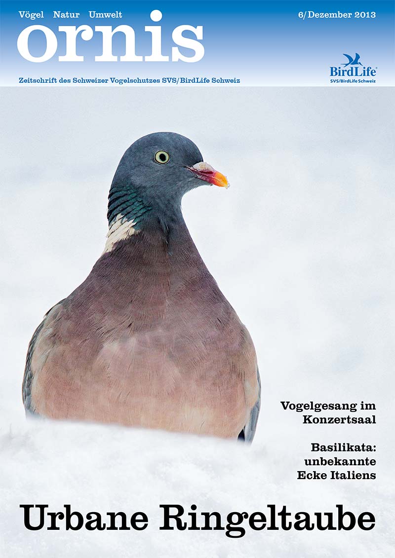 Orn6 01 Titel (5)