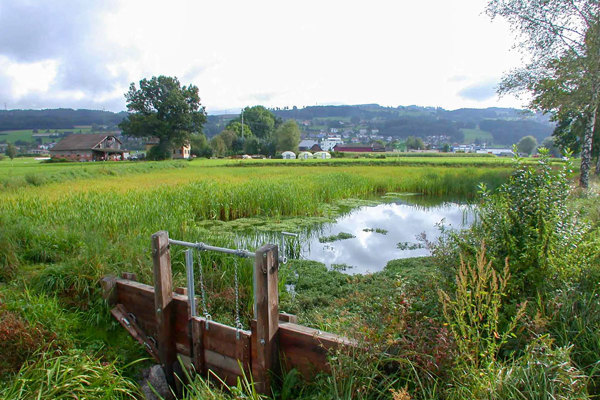 WA 6 Edit Kopie WA 6 Edit Kopie