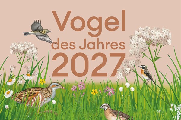 Keyvisual Vogeldesjahres2027