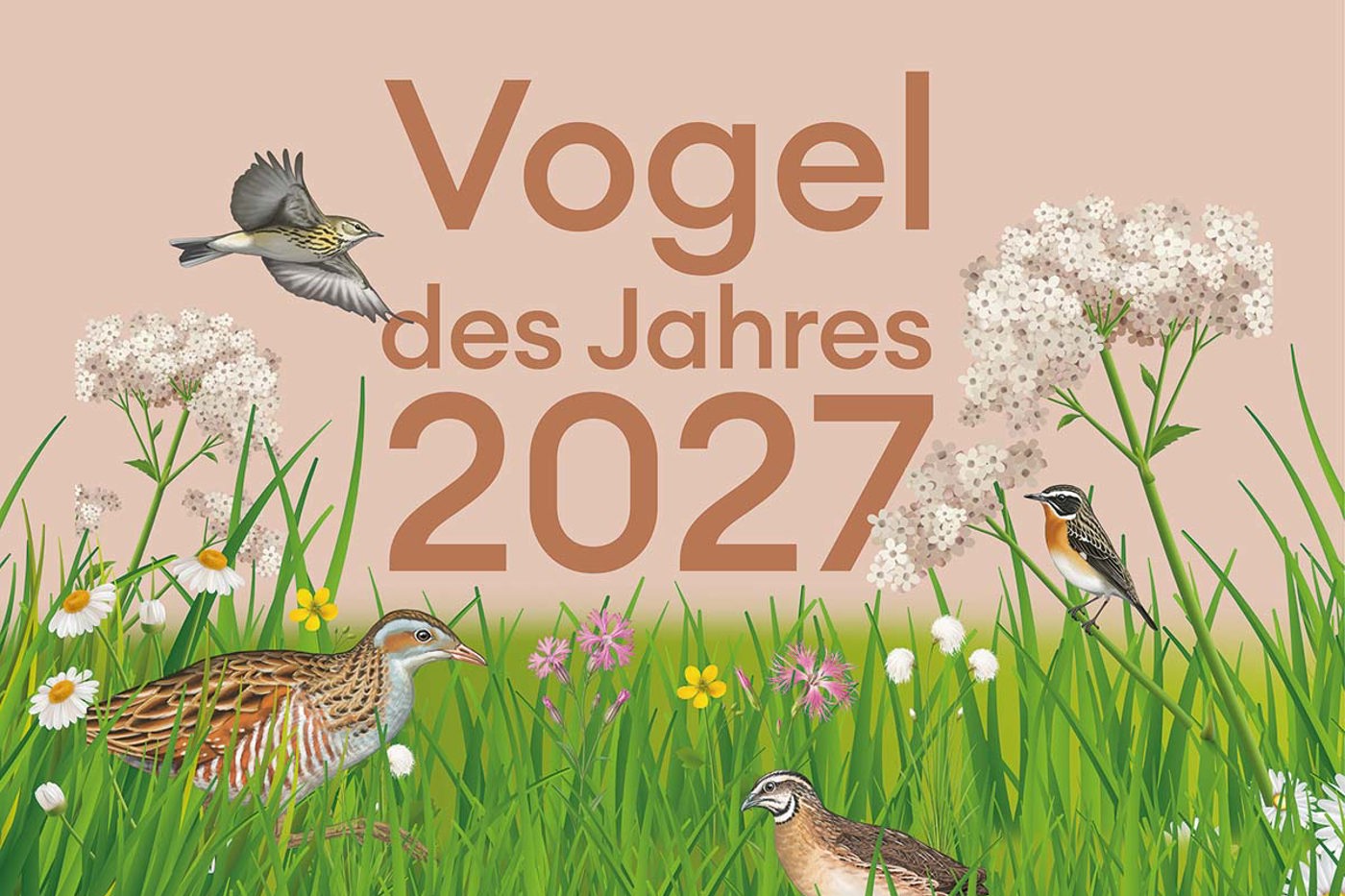 Wählen Sie Ihren Favoriten