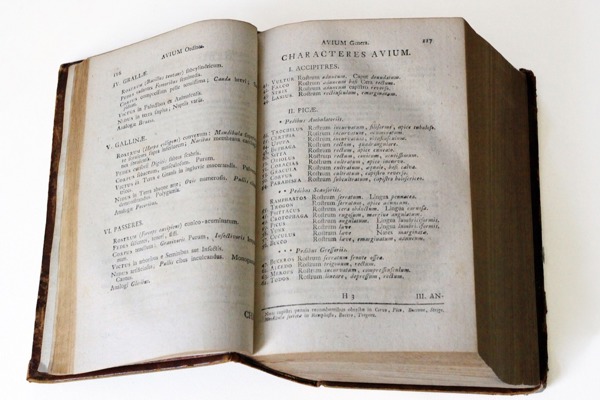 Linne Buch Linne Buch