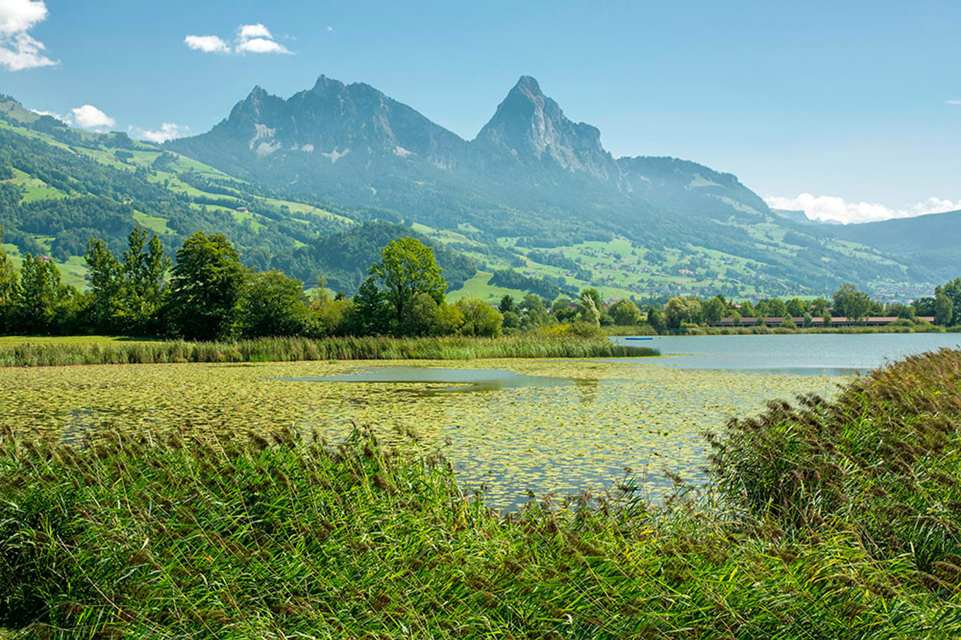 Blick auf den Lauerzersee mit den Mythen im Hintergrund. © Michael Stipek/mauritius