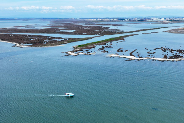 RE Gediz Delta Doga Dernegi Kopie 2 RE Gediz Delta Doga Dernegi Kopie 2