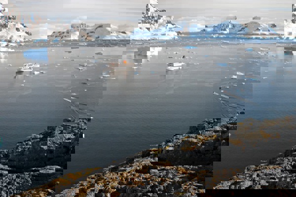 AN Aufmacher AN Aufmacher