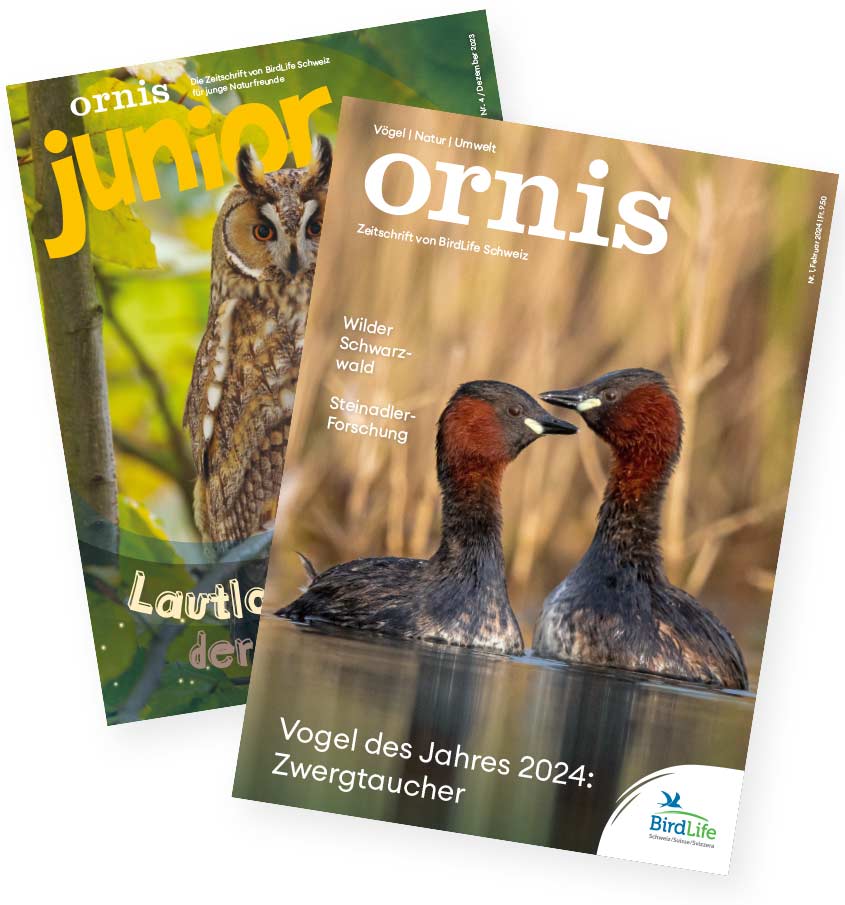 Willkommen bei Ornis!