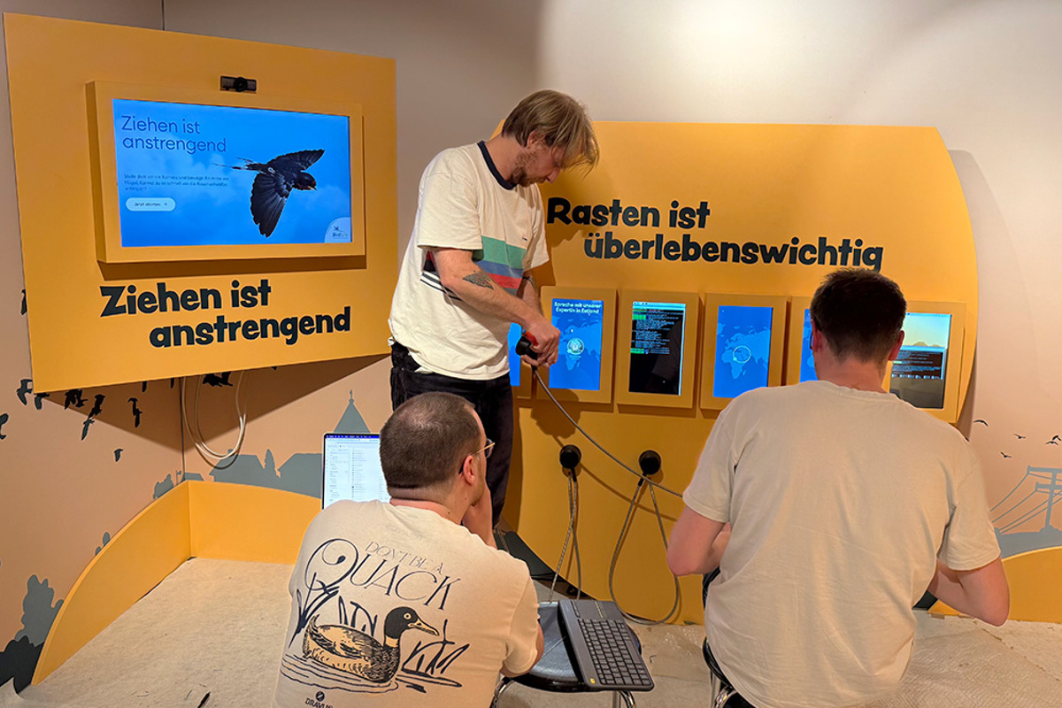 Vogelzug Erleben Montage Samuel Robin Patrick