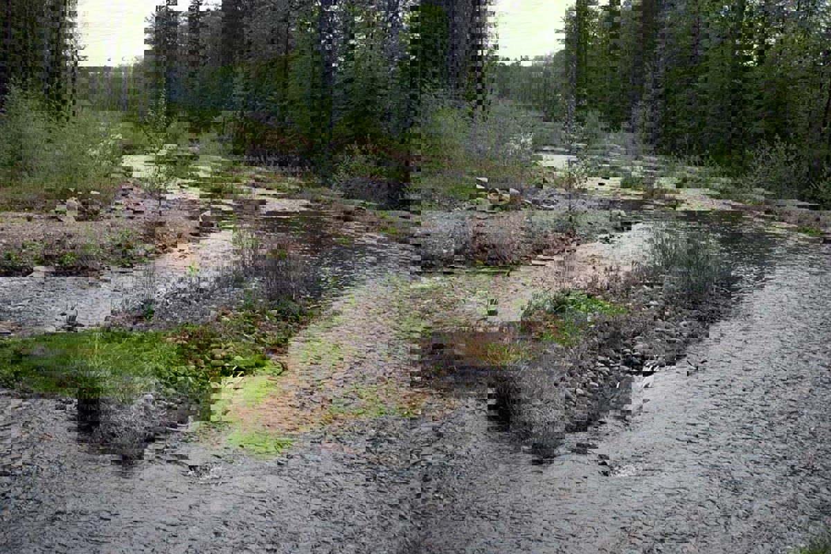 Auen Rupperswil Umgehgew 100430 5