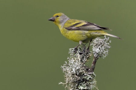 Schleichender Abschied