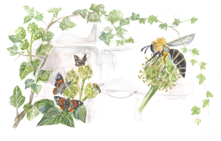 Herbstliches Blütenbuffet