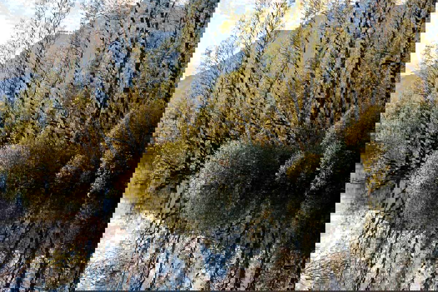 Die Bevölkerung anerkennt die Wichtigkeit der Biodiversität. Aber sie schätzt deren Zustand als zu gut ein. © Markus Bolliger