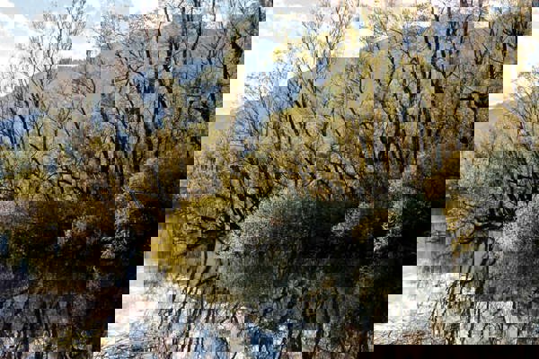 Biodiv Markusbolliger Biodiv Markusbolliger