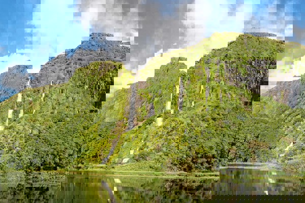 AZ Flores Lagoa Dos Patos MG