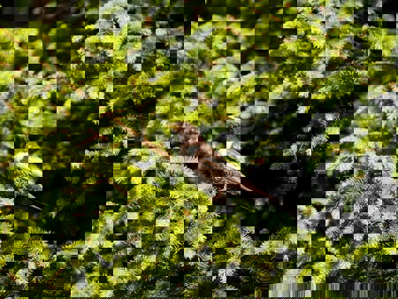 Verstärkter Einsatz nötig