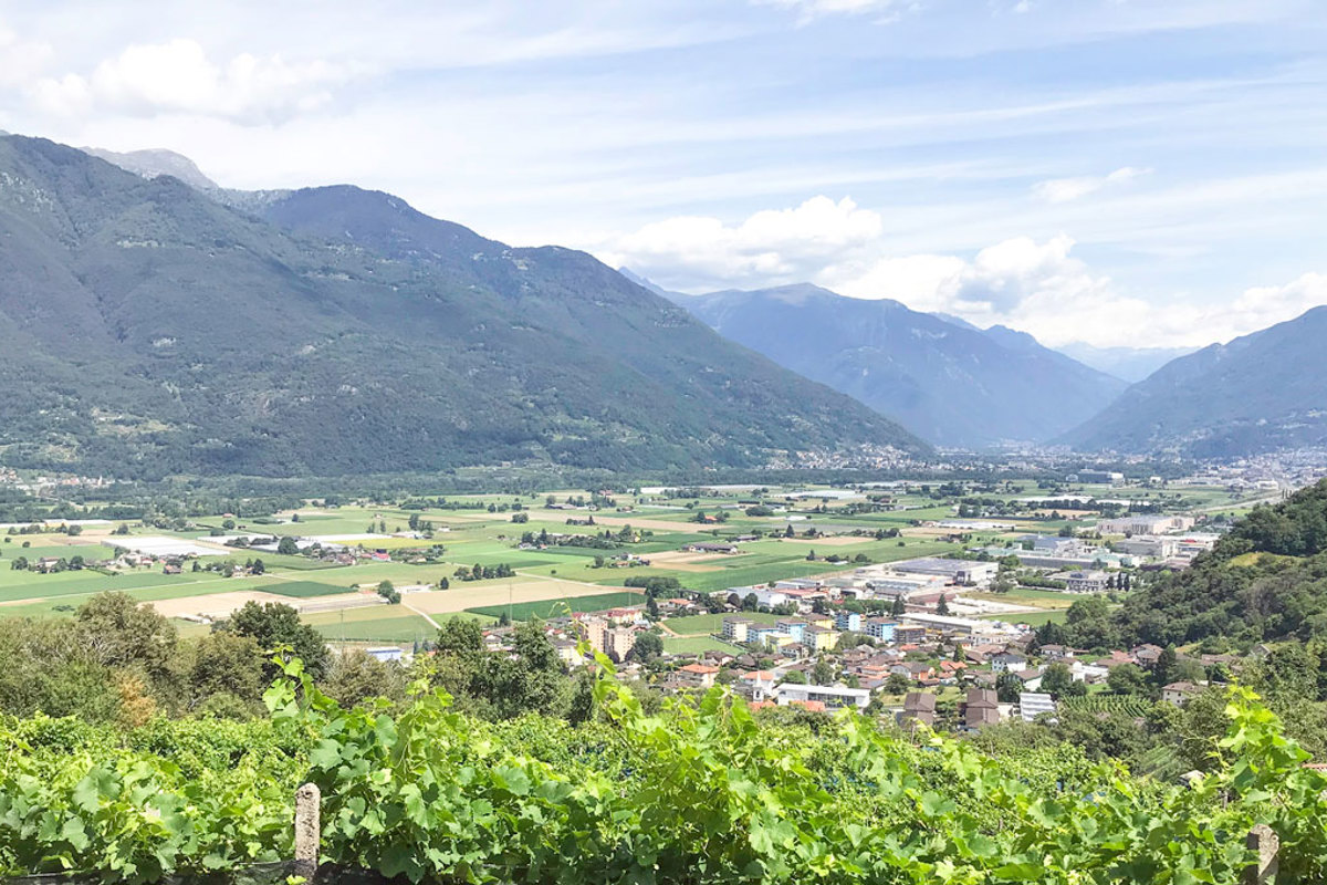 SK IMG 7334 Edit Kopie