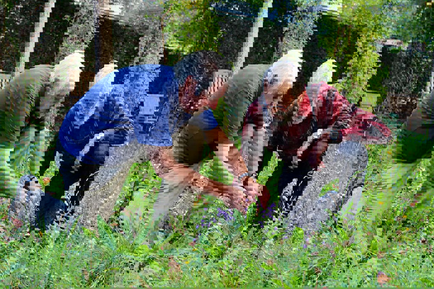 Seit mehr als 50 Jahren begeistert von der Vielfalt der Natur: Hansruedi Wildermuth (links) und Albert Krebs. Dass dieser kleine Garten hinter dem Konradhof in Winterthur artenreich ist, ist auch Albert Krebs zu verdanken, der hier Blumensamen aus seinem ehemaligen Naturgarten in Agasul ausgestreut hat. © SVS
