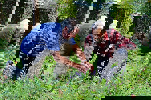 Interview Beide Dp Interview Beide Dp