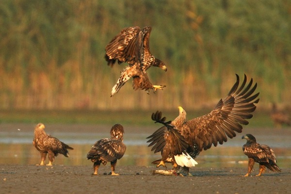 Bildschirmfoto 2024 01 17 Um 13.51.33 Bildschirmfoto 2024 01 17 Um 13.51.33