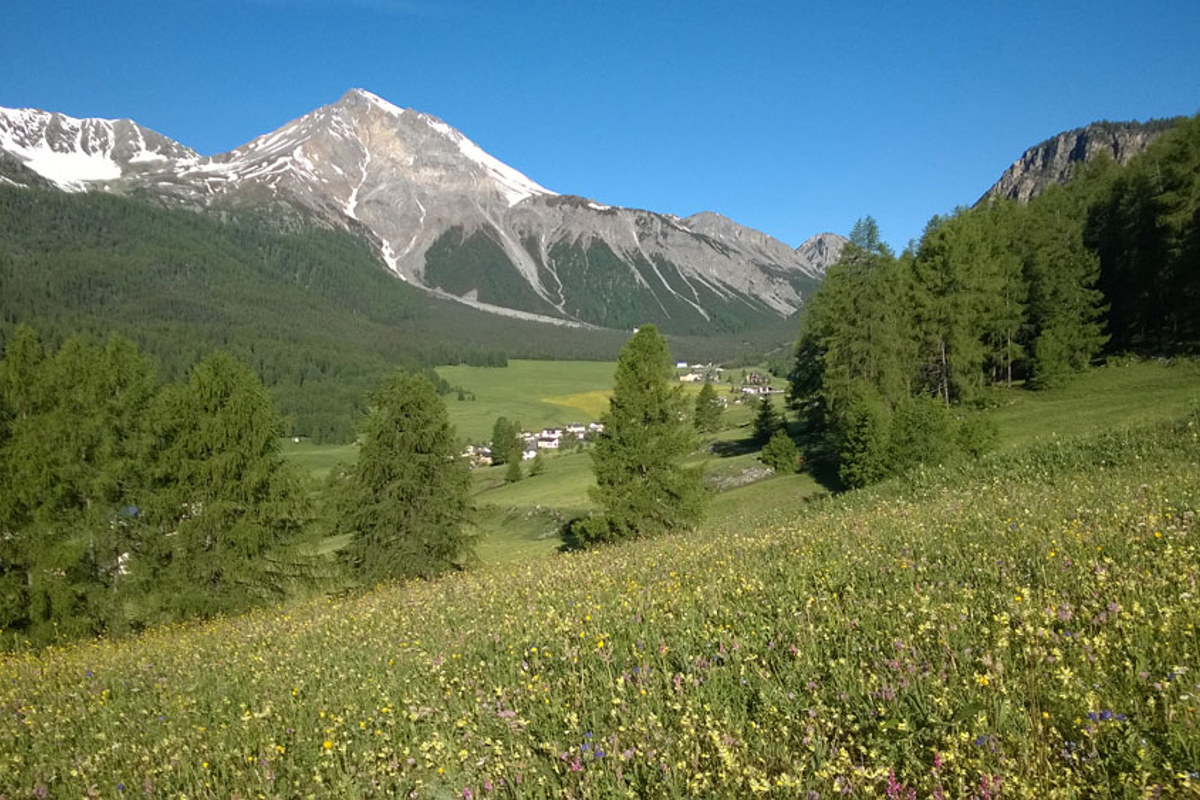 VO Alpen BW